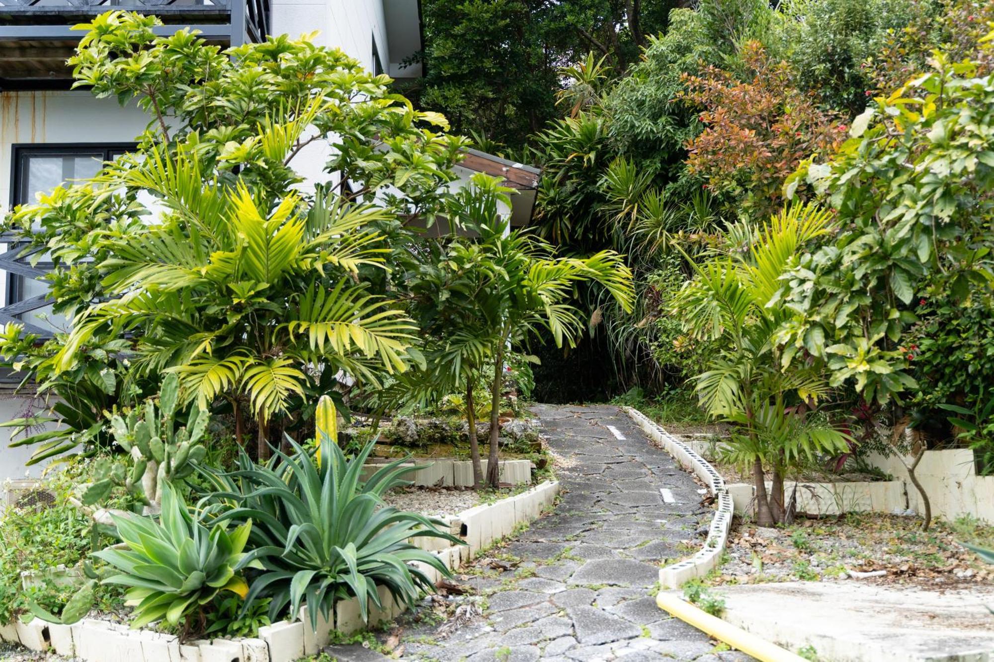 Mambo Hostel Okinawa Мотобу Экстерьер фото